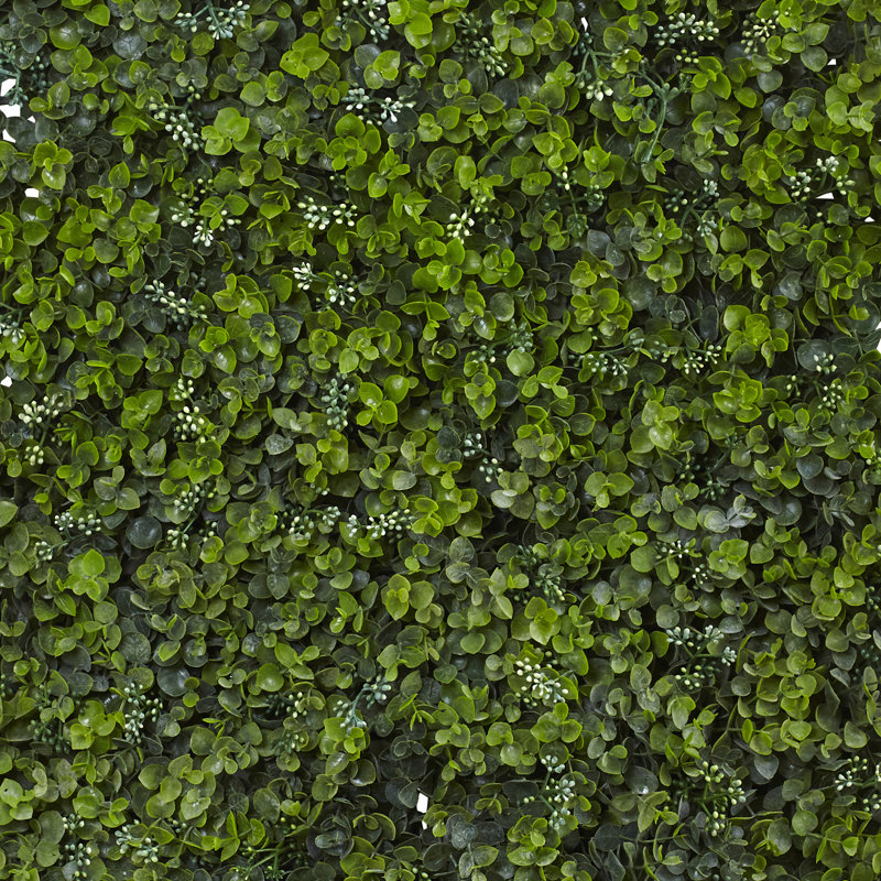 Plante d'eucalyptus artificiel 3 po