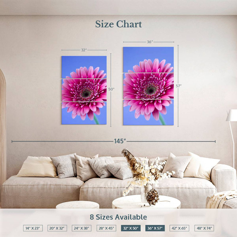 Harnek Pink Gerbera Daisy I