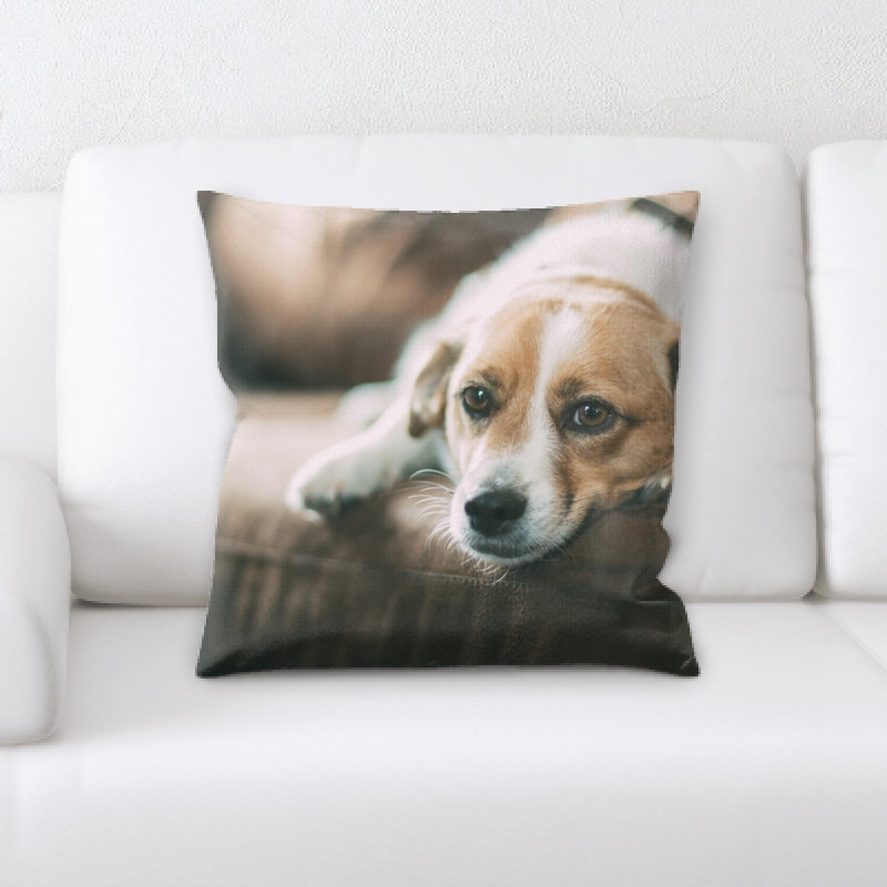 Coussin pour chien