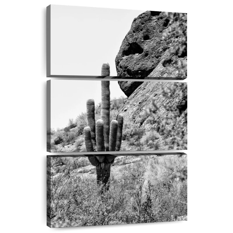 Cactus Harnek Carnegiea Gigantea, H 32 po x l 20 po