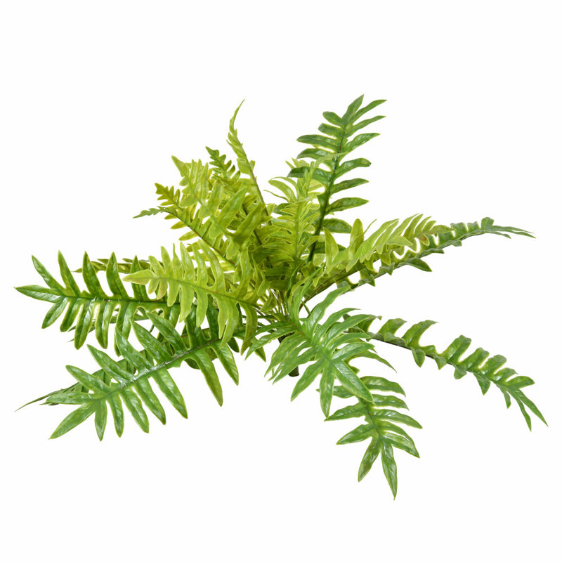 Salix Leaf Arrangement