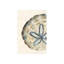 Piece From The Sea III Print by Guseul Park-26946648-26946646