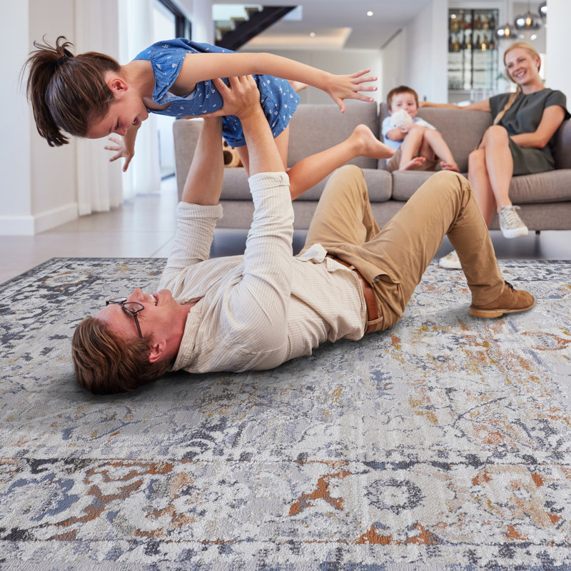 Stain Non-shedding Area Rug 5x7 - /grey For Dorm Room Bedroom Pet-