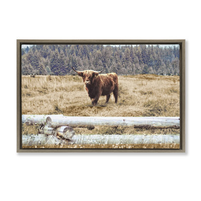 Country Cattle with Fence  Canvas by Gail Peck