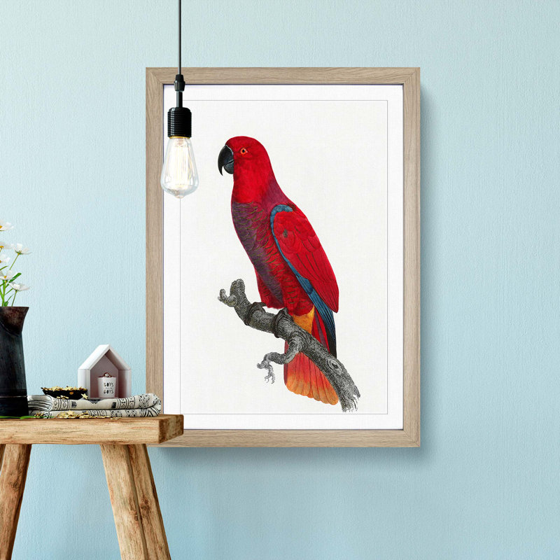 An Eclectus Parrot 1 Piece Single Picture Frame Painting, 33cm H x 24cm W x 2cm D, Oak Framed
