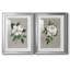 Magnolia botanique - ensemble de 2 reproductions d'art-512224790-512224786-512224778