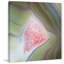 Wrapped Canvas Print-214737877