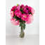 Grande et élégante pivoine rose / magenta