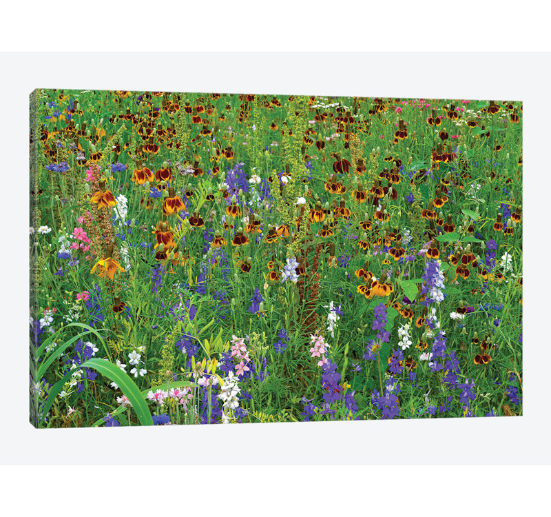 Reproduction de photo sur toile, H 8 po x l 12 po x P 0,75 po