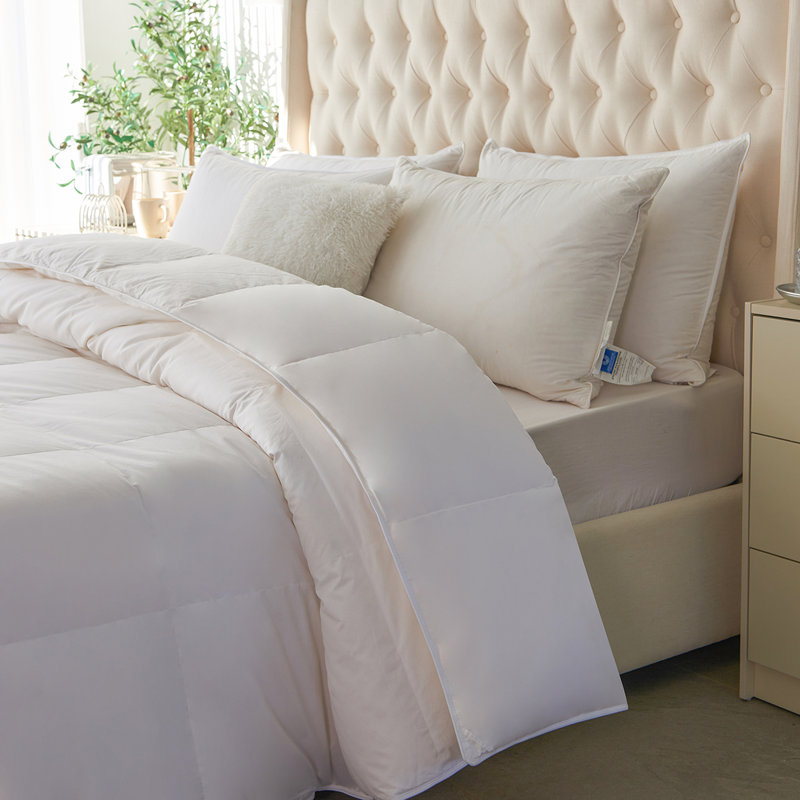Light Weight 625 Fill Power Kapok Flower Down Duvet, Twin