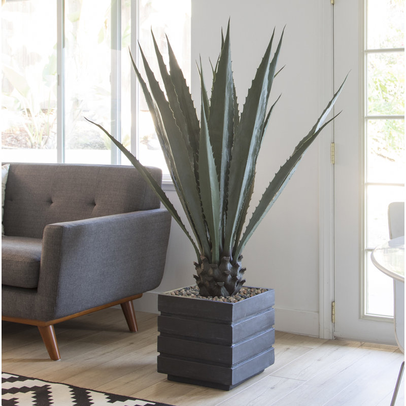 Plante succulente artificielle en pot 43 po Panama, Blanc, Vert foncé