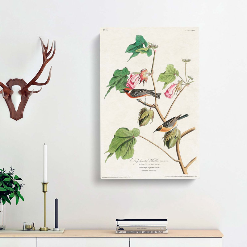 Bay-breasted Warblers From Birds by John Audubon - Wrapped Canvas, 60cm H x 40cm W x 3cm D