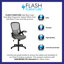 Blue Elephant Mesh Executive Chair-1435662528