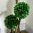 Artificial Boxwood Topiary in Pot-1832811968-1853627218