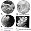 «Black and White Coral Plant I - Beach & Ocean», reproduction sur toile-1045385241-1045385242