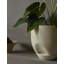 Meira Ceramic Planter-1056570845-1056570834