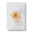 Pale Yellow Rose - Wrapped Canvas-56667113