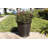 Pot Planter