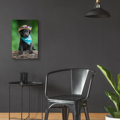 «Black Lab Pup 6» par Jonathan Ross