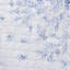Ensemble de courtepointe réversible en coton bleu Flora de Laura Ashley-651243068