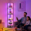 Lampe sur pied 67 "avec lumières DEL, télécommande tactile, température de couleur 3, haut gradable-385212740-390678158