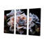 «Blue Succulent Bloom», ensemble d'art sur toile-107767698-107767700