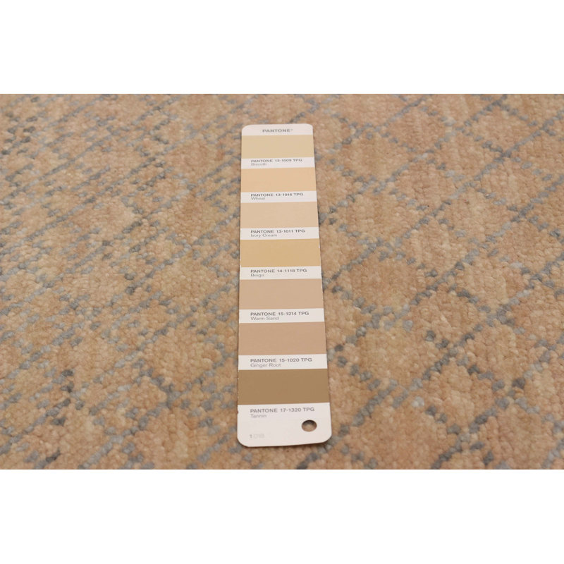Tapis brun clair en soie 7 pi 11 po x 9 pi 11 po