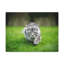 No Frame Print on Canvas