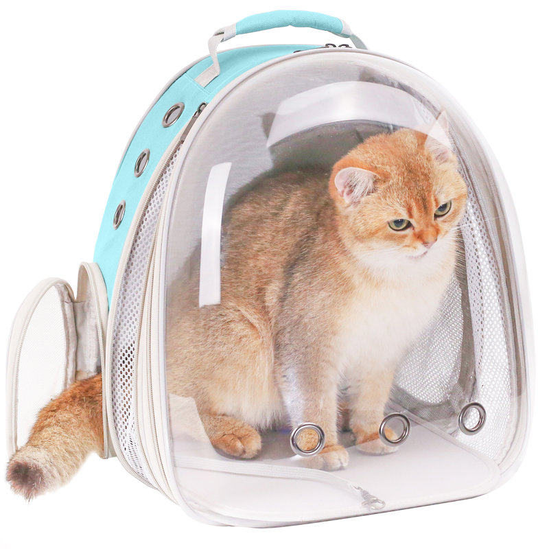 Sac à dos de voyage extensible pour chat astronaute, transparent et transparent, en forme de capsule spatiale, vert, Vert
