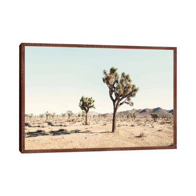 Joshua Tree Desert by Sisi & Seb - Print on Canvas