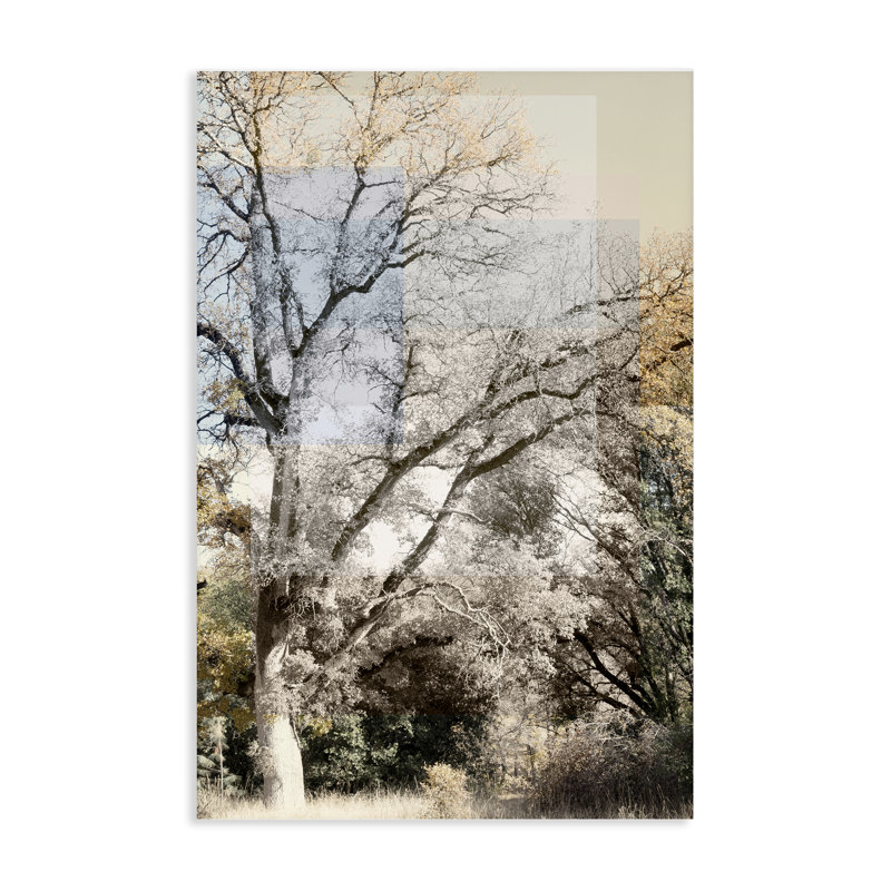 «Tree Collage Layers Canvas», conception par Gemma Bardot, H 24 po x l 16 po