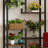 Open Display Rack,Farmhouse Bookshelf,Versatile Storage Bookcase