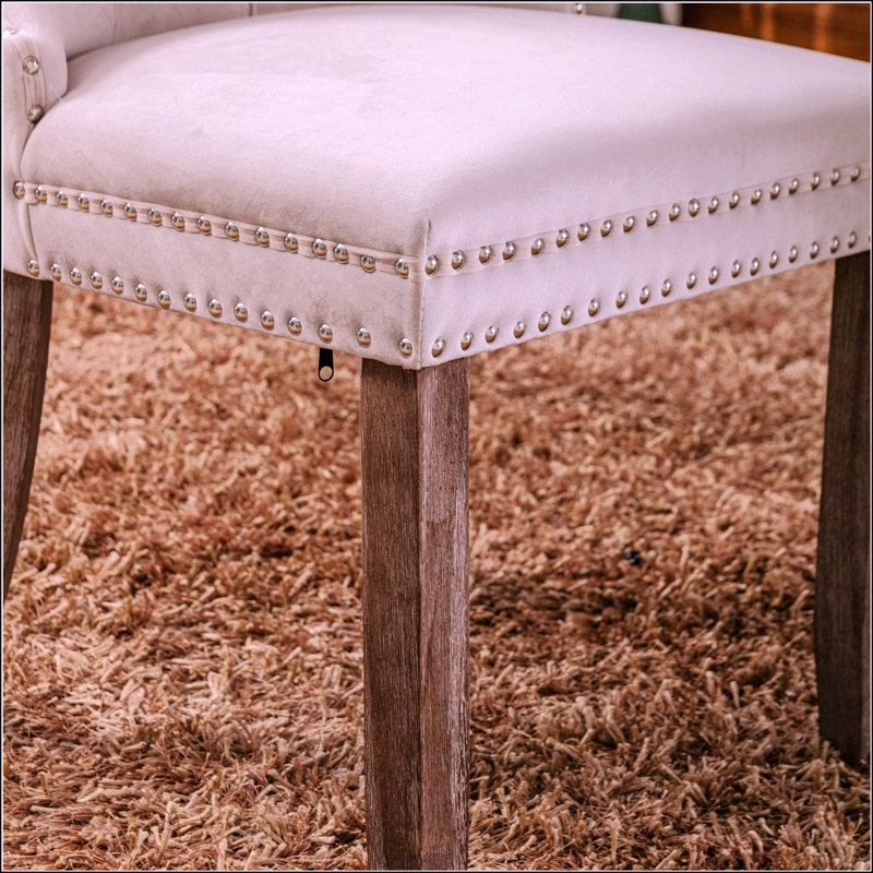 Ensemble de chaises de salle à manger rembourrées en velours luxueux avec dossier haut et rivets décoratifs, pieds en bois massif