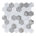 Gray/Metallic
