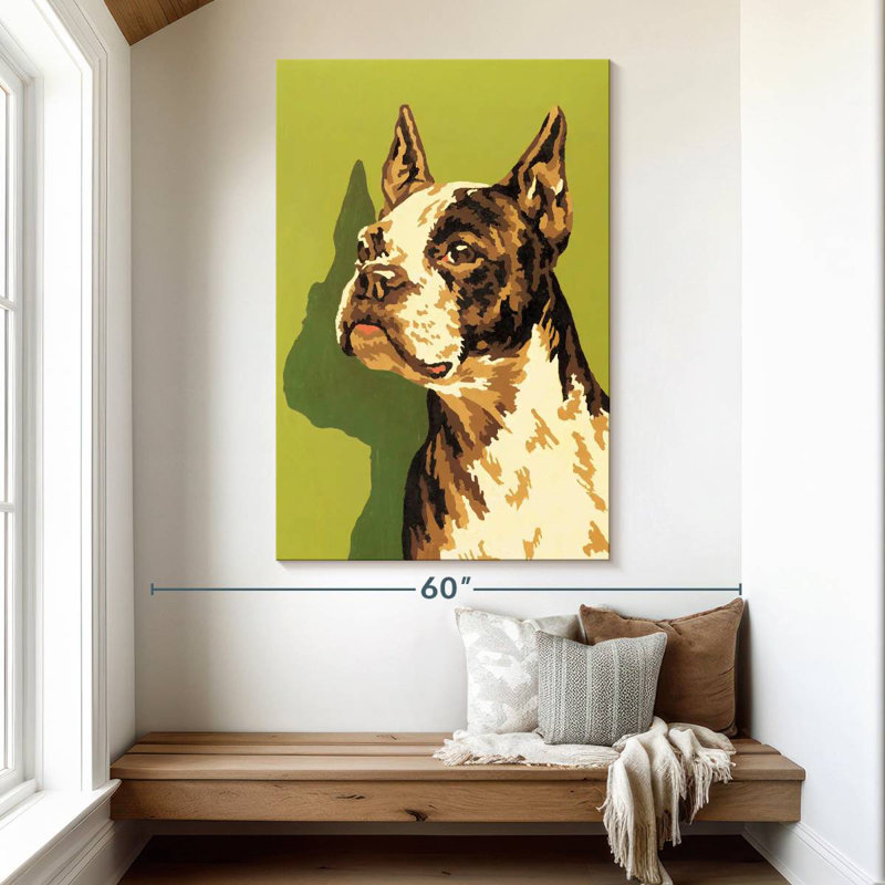 Boston-terrier, H 51 po x l 34 po