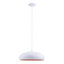 Raina 1 - Light Dome Pendant