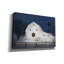 «Christmas Starry Night» par Lori Deiter, art mural sur toile-1723452162