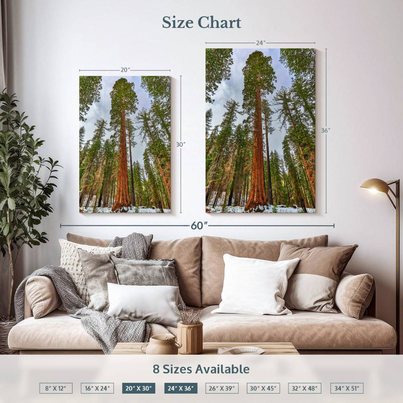 Harnek Giant Sequoia Grove, 36" H x 24" W