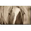 La blonde par - photographie-942663234-942663235