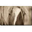 La blonde par - photographie-942663234-942663240