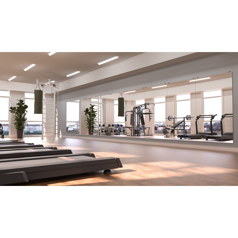 Refat Rectangle Full Length Wall Mirror Set Home Gym Mirror Dance Studio Mirror Tempered Glass Mirror, 60" x 36"