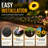 Hartshorne Solar Powered Weather Resistant Sunflower Pathway Light (Set of 4)