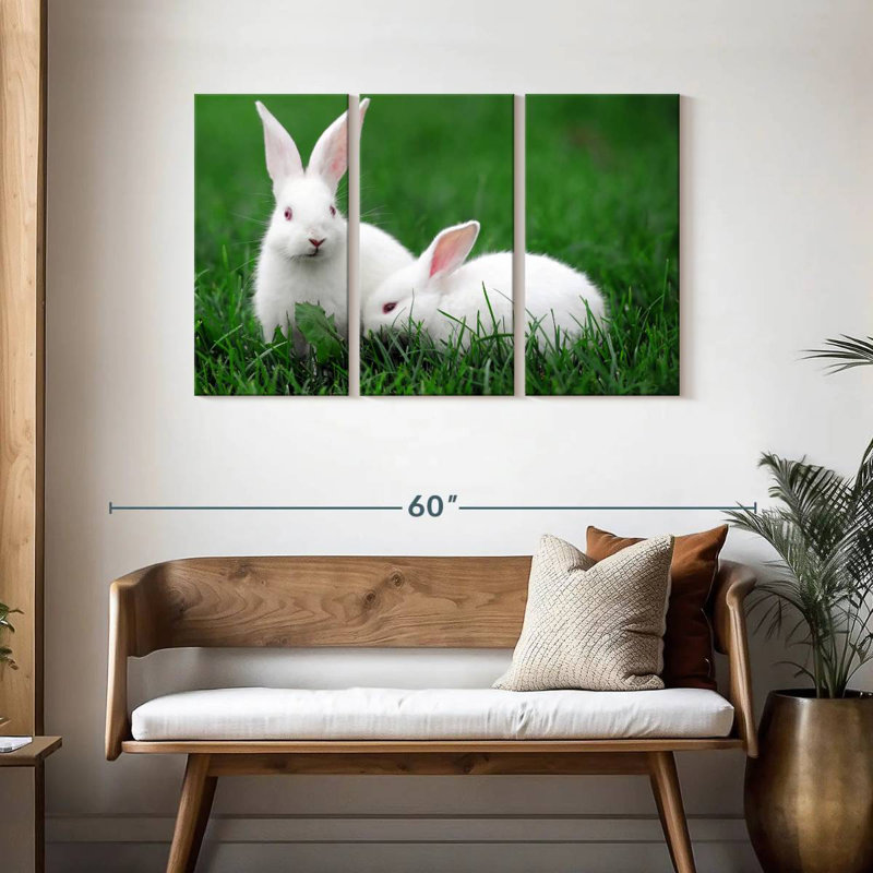 Deux lapins albinos