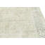 Muted Beige Traditional 8X10 Oriental Area Rug