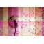 Parvez Taj - Wrapped Canvas Print-16673417