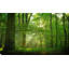 «Breathe» par Lars Van de Goor - photographie-789587390-789587382