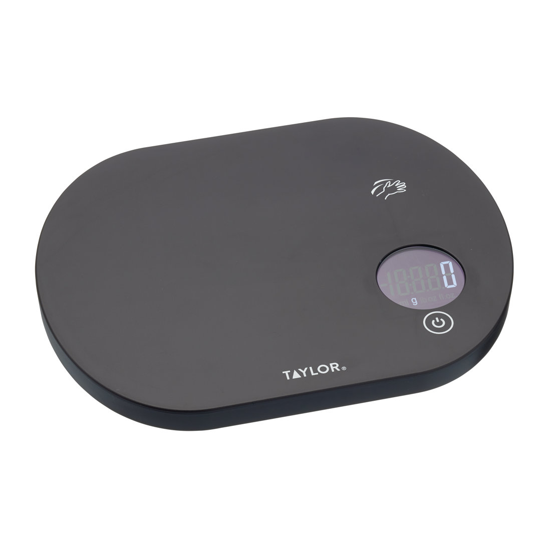 Taylor Pro Digital Scale