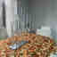 Photos des clients 4 de 4