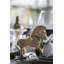 Animals Decorative Object