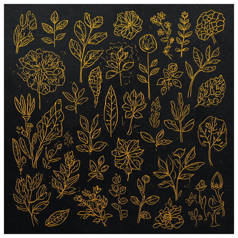 Rideaux de douche Botanical Illustration, L 70 po x H 84 po